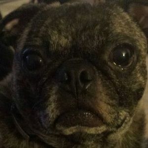 Meet your Posher, Alexandra